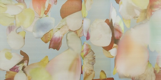 Blossom, Creation Baumann, fabric, curtain, trend, floral