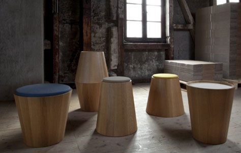 Gather Round the Tree: Coniferous Collection by Joint Perspectives