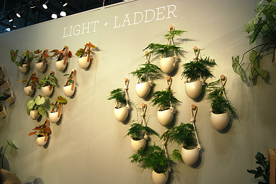 Light + Ladder Locally-Sourced Porcelain Planter Collection