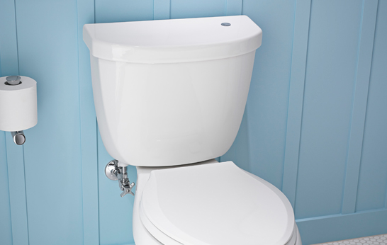 Touchless Toilet Technology from Kohler