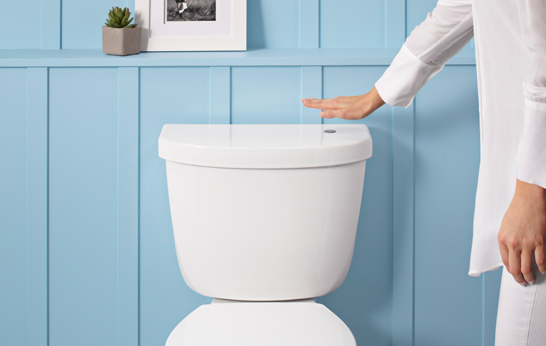 Touchless Toilet Technology from Kohler
