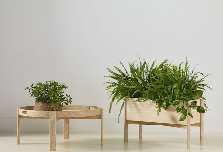 Sustainability and Modernity Converge with the Ori Collection