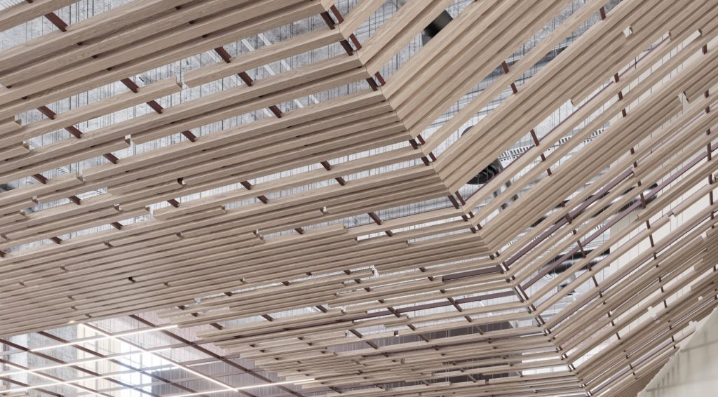 TURF Arbor Canopy Baffle System detail on ceiling that slopes up wood finish