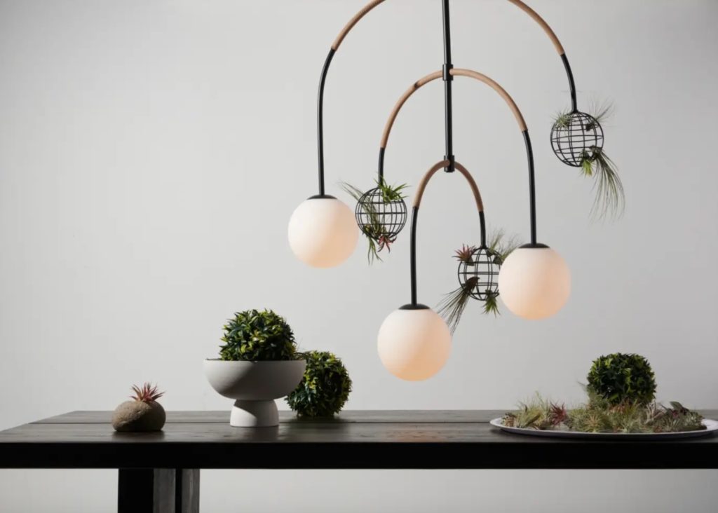 Verdo chandelier with plant buds above kitchen table