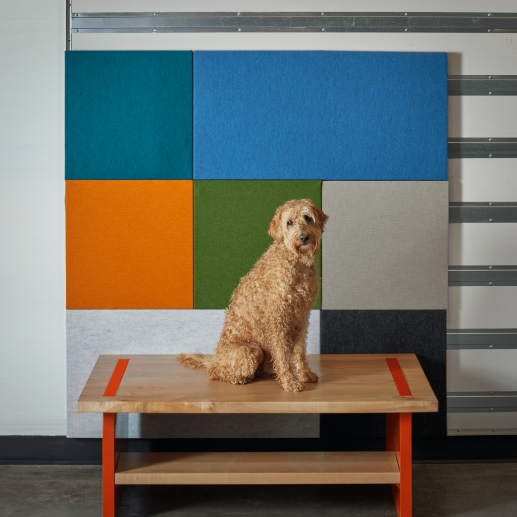 Cambio Wall Panel color block design with dog