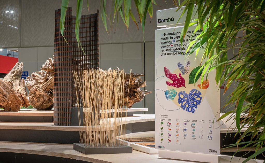 Bamboo exhibit