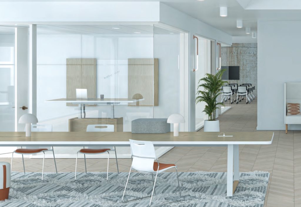 Quorum table with wood top and white base/sides in modern office space