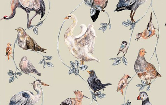 Beautiful New Bird Patterns by House of Hackney