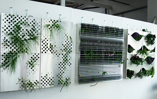 William Lee, living wall system, plants, exterior