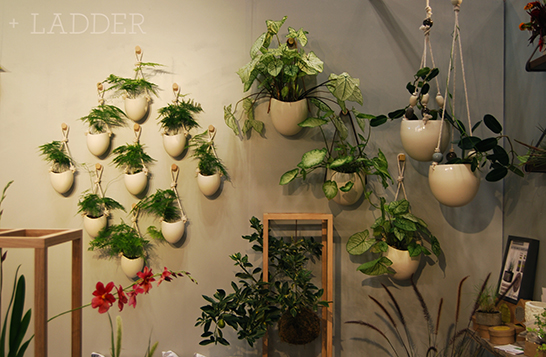Light + Ladder, porcelain planter collection, porcelain, planter, sustainably sourced, locally sourced, Brooklyn, natural leather, cotton rope, NY NOW 2013