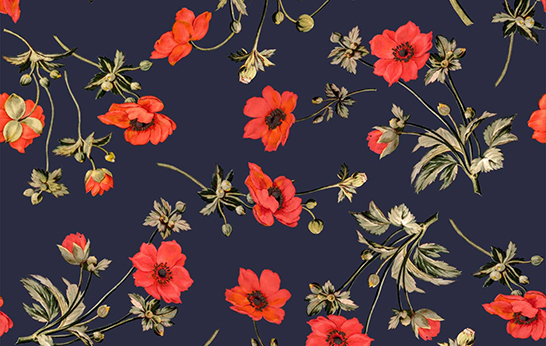 Fabulous Florals_ Surface Trend_Poppium_House of Hackney