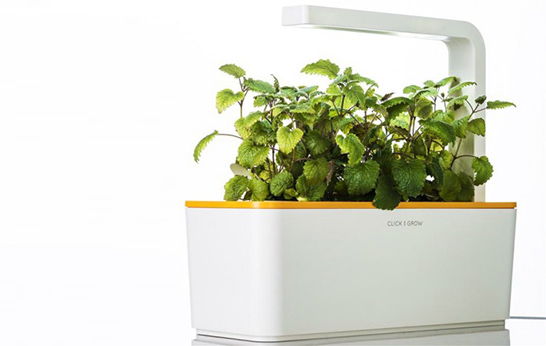 Click and Grow-Smart Herb Garden