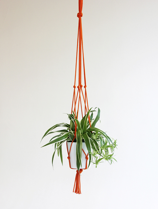 Modern Rope plant pots by Knotted Interiors_1