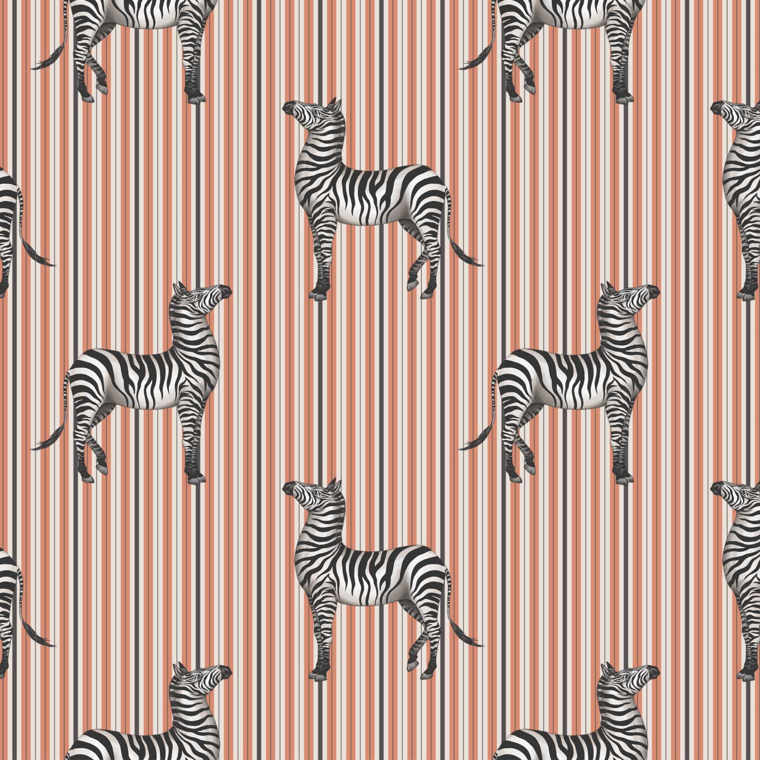 zebra_orange_72dpi