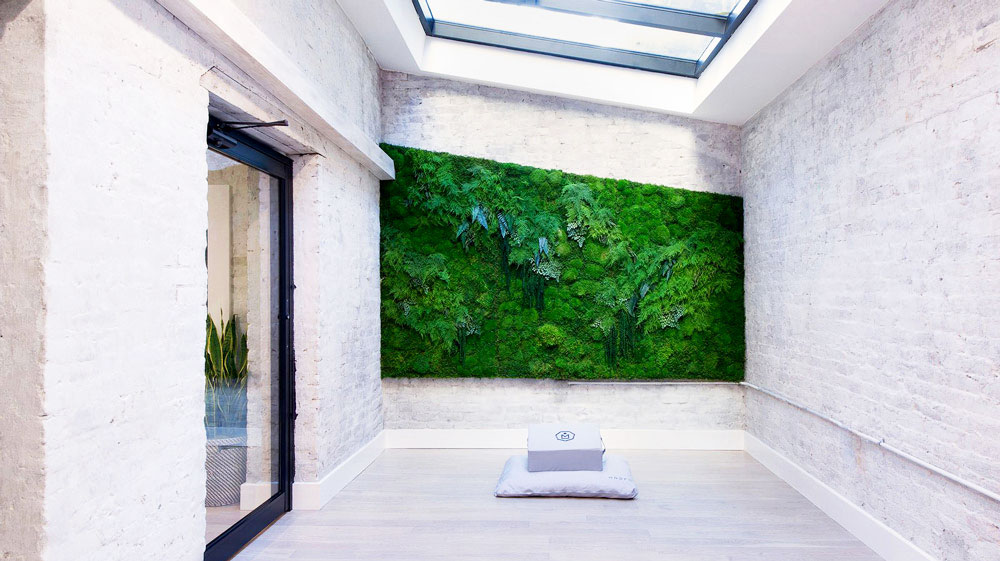 artisan-moss-green-wall-yoga-meditation-studio