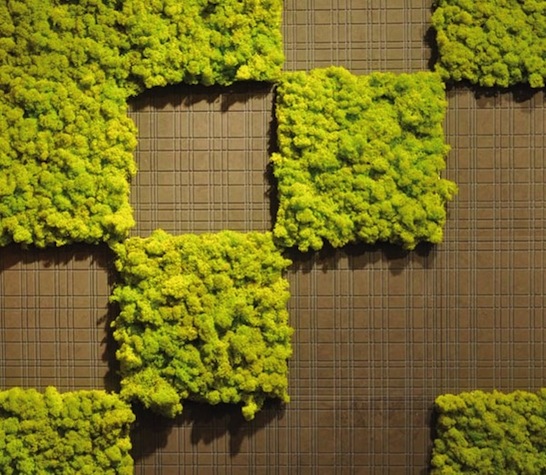 Wall Flowers: Green Trend