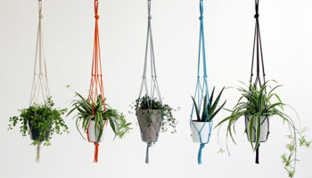 Hanging Planters: Green Trend