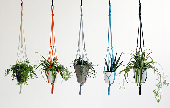 plant pots, planters, office, green, air purifiers, hanging planter, suspended, gardening, trend,