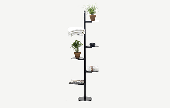 The Stand Up Collection by Thomas Schnur