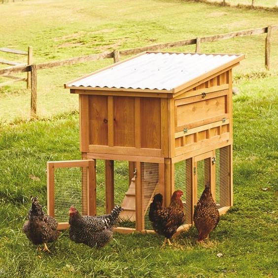 Red Cedar Chicken Coop by Bambeco