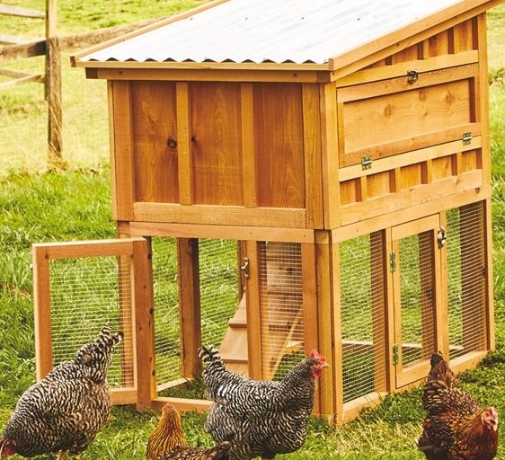 Red Cedar Chicken Coop by Bambeco