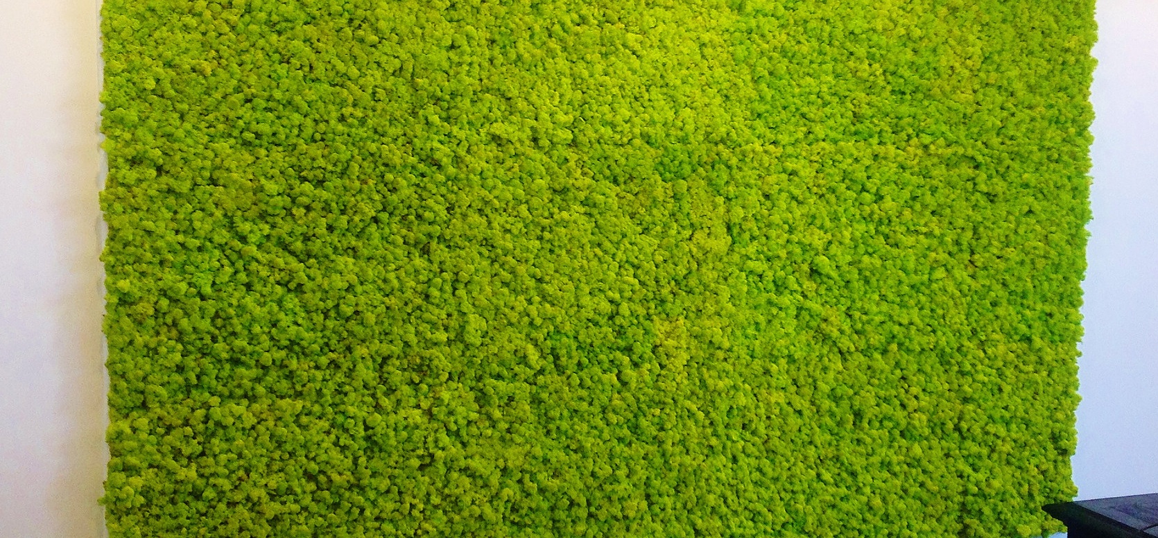 Green Moss Panels by Green Up
