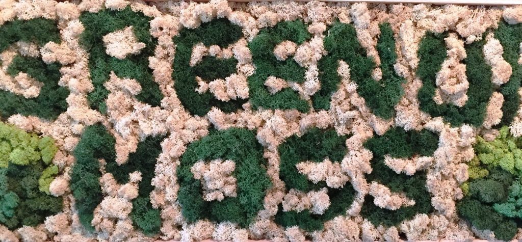 Green Moss Panels by Green Up Green Moss Panels by Green Up