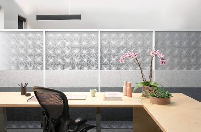 semi-private office with ecoresin partition walls featuring starburst pattern