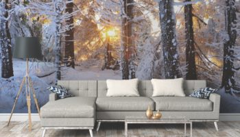 Cool Down with Winter Wallpaper