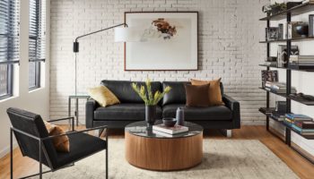 Social Distance with Room & Board's Pierson Sofa
