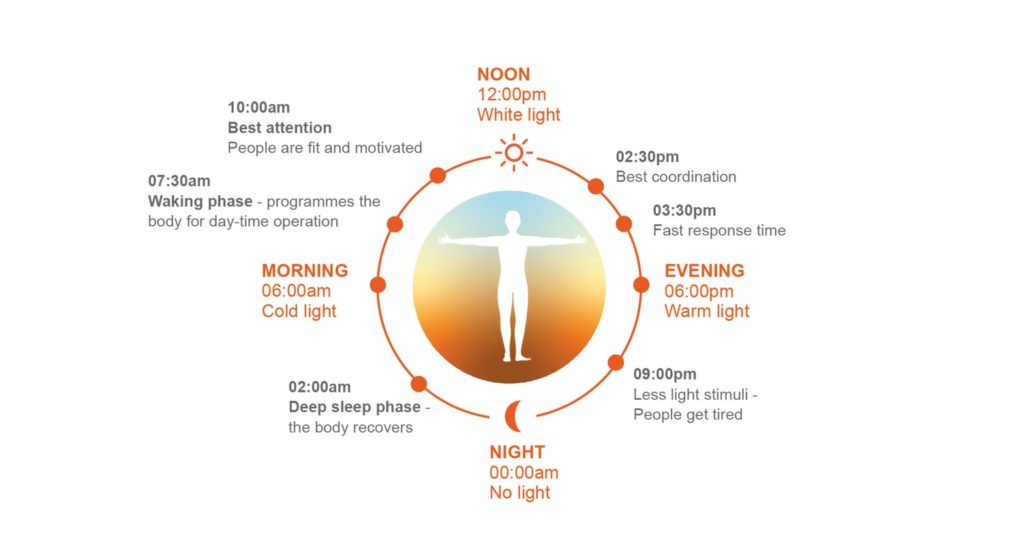 SUN@Home Ledvance graphic showing natural sunlight rhythms