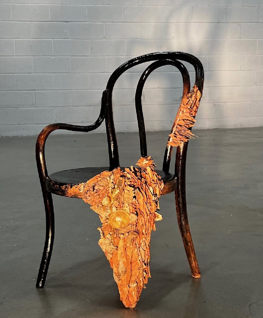 Sabrina Merayo Nuñez Sprouted chair