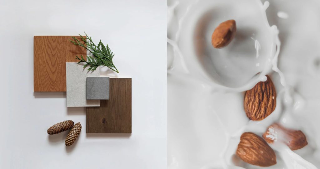 color palette for collection with images of almonds in milk