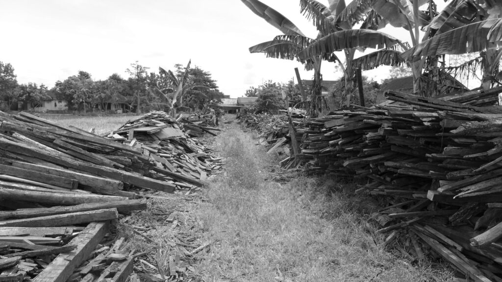 Piles of reclaimed wood in Java with palm trees and other foliage