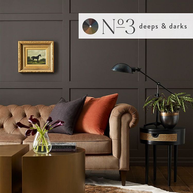 Deeps and darks Sealskin color on wall in upscale room with leather sofa