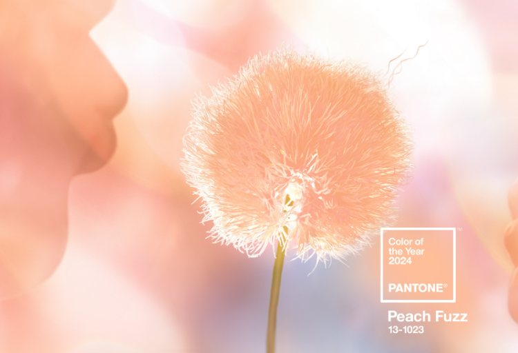 Pantone Peach Fuzz lifestyle