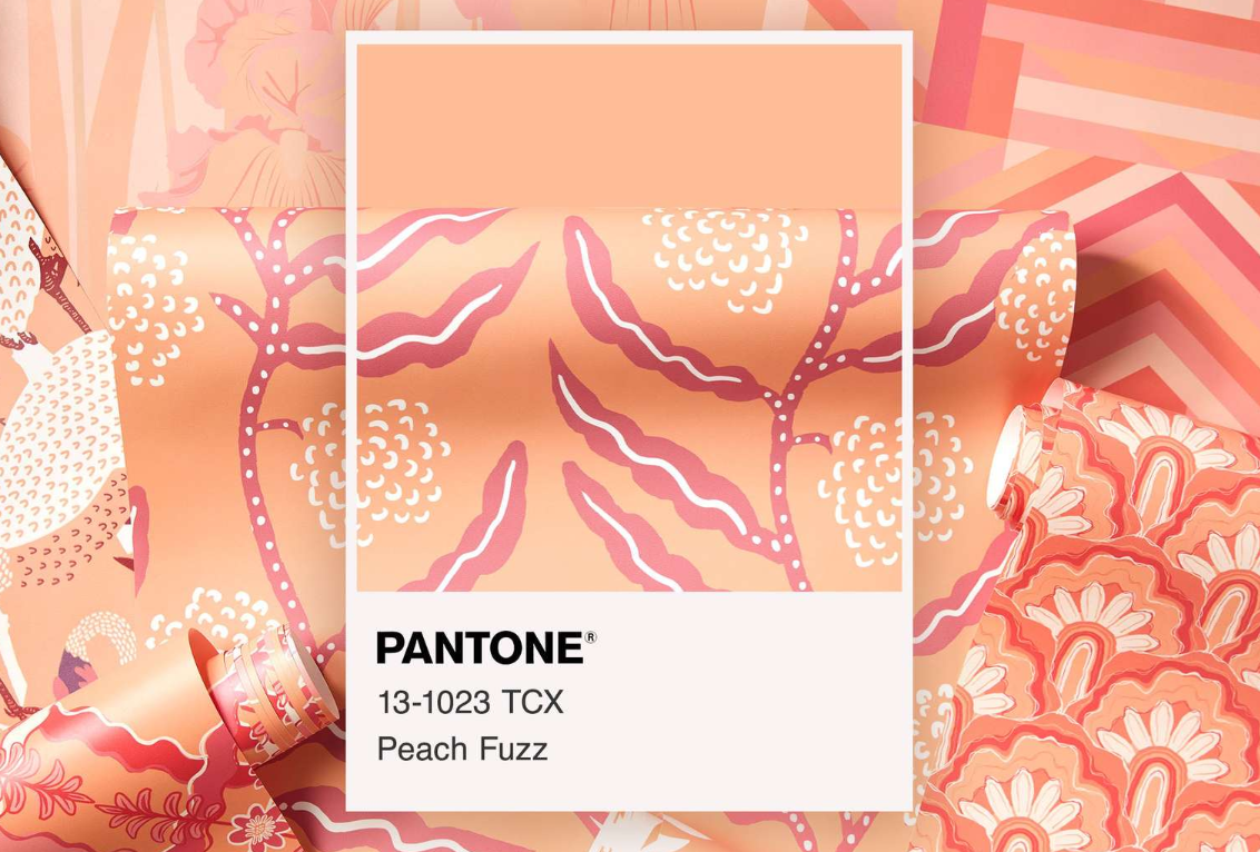 Spoonflower x Pantone Peach Fuzz Collab