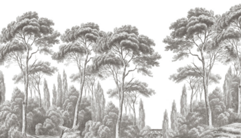 Pins et cyprès (Pines & Cypress) Wallpaper From Ananbô