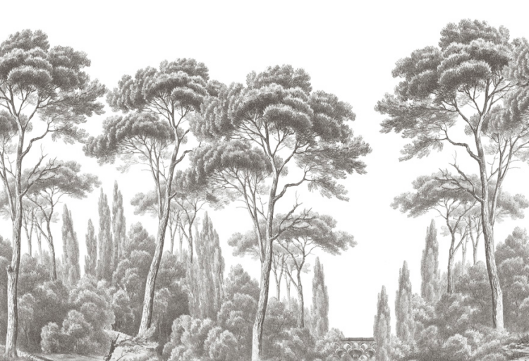 Pins et cyprès (Pines & Cypress) From Ananbô