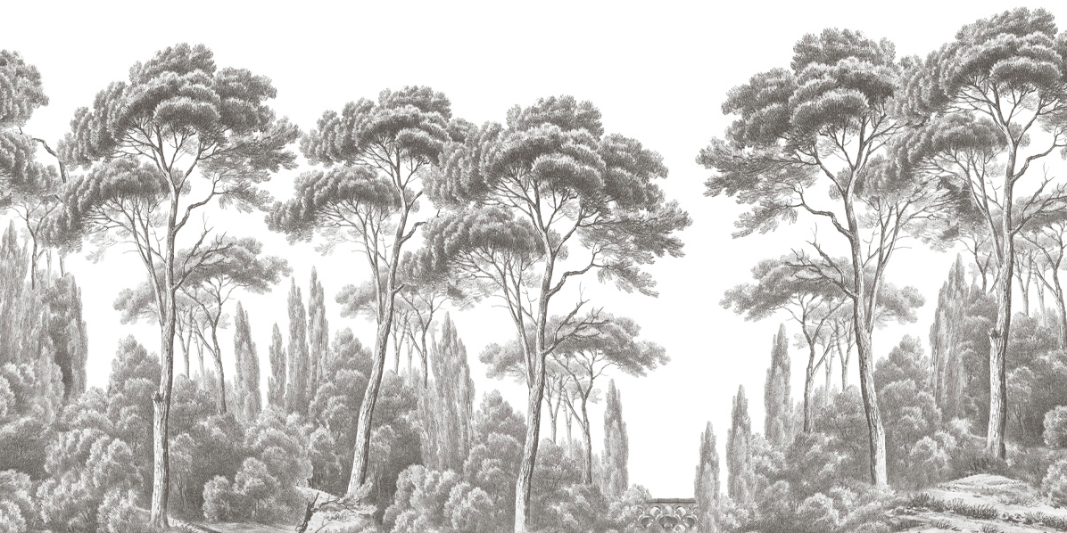 Pins et cyprès (Pines & Cypress) Wallpaper From Ananbô