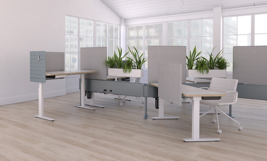 Sparse office layout with height-adjustable desks in white and gray partition screens