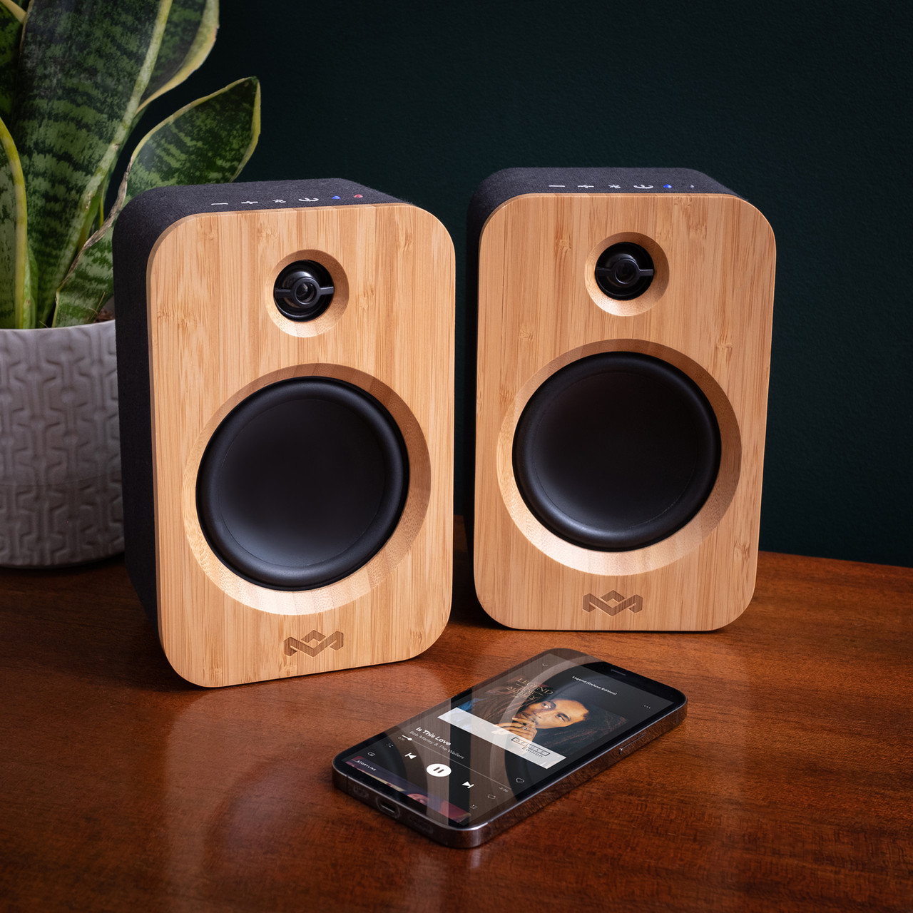 Get Together Duo Bamboo Speakers