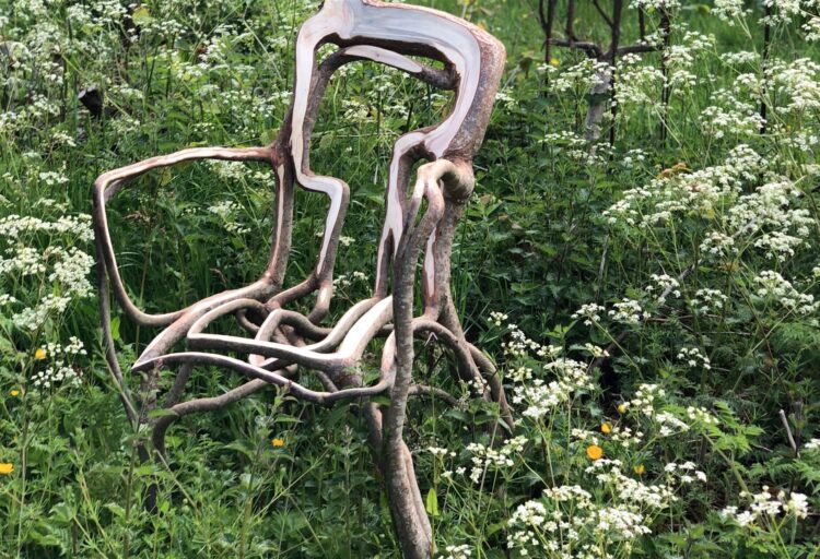 Munros Full Grown Sycamore chair