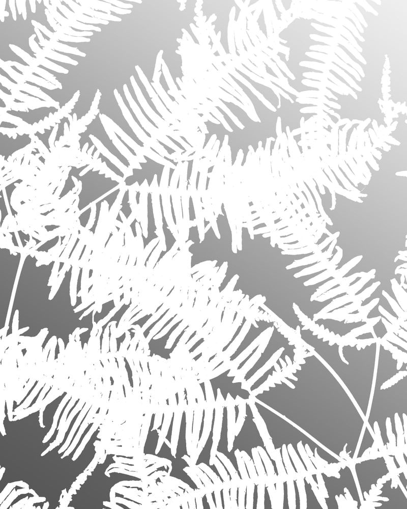 Mountain Fern by 3form