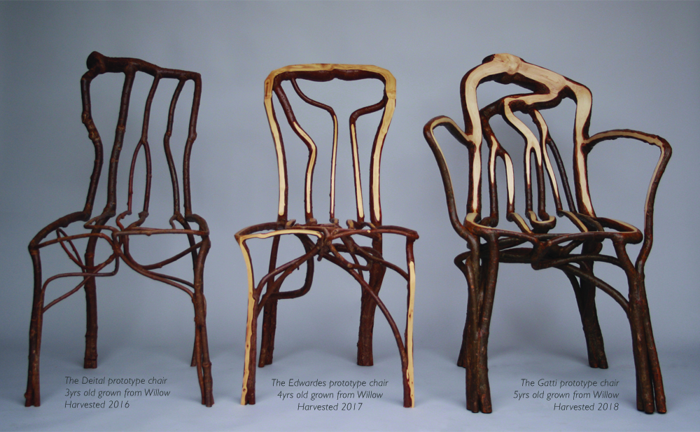 Three Full Grown chairs in various stages of completion