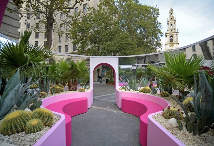 Oasis Pavillion with cacti and curvy low pink walls