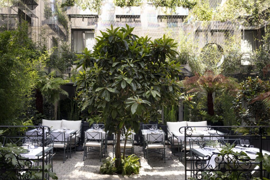 Hotel courtyard with trees and tables