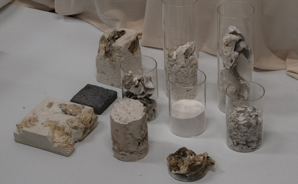 Oyster[Crete] design process with different iterations of crushed shells in glass cylinders