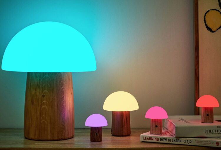 Alice lamp several colors and sizes