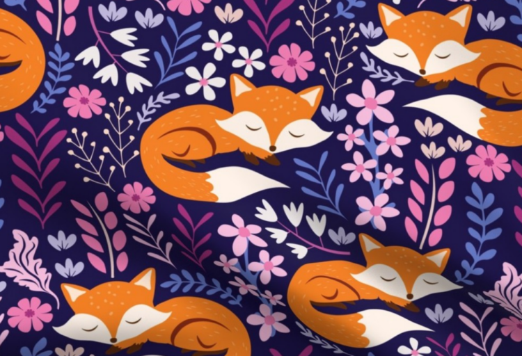 Main image sleepy fox detail